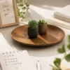 閱讀書寫桌上的條紋多肉花盆